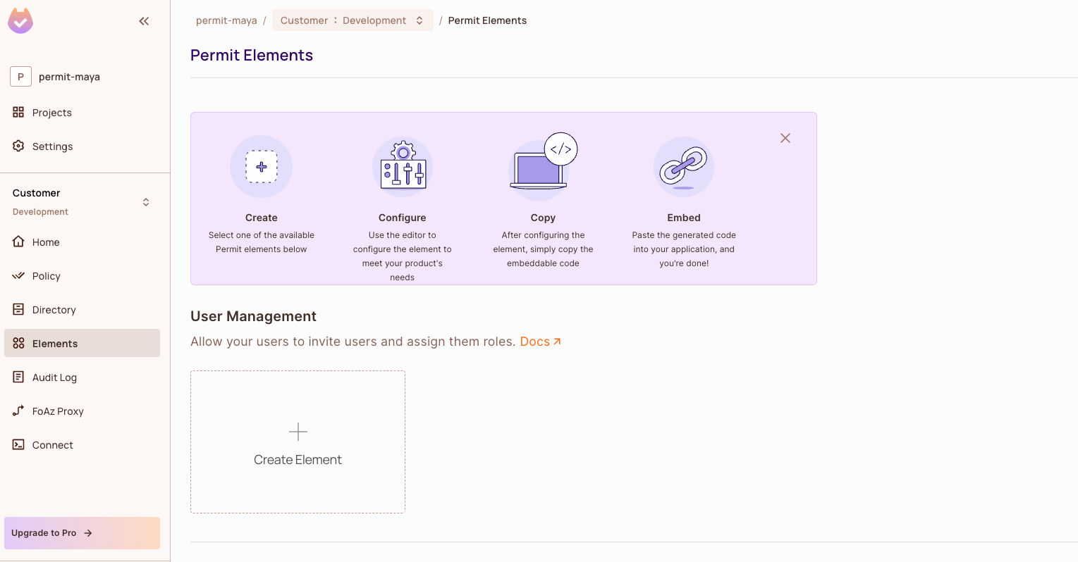 Elements screen with the Create Element button under User Management