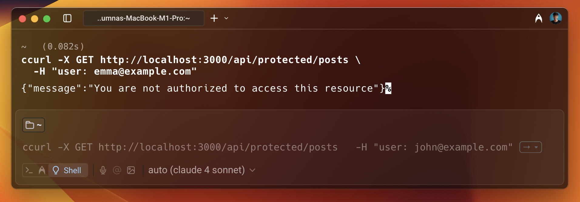 Terminal showing a curl request to /api/protected/posts for emma@example.com returning You are not authorized to access this resource